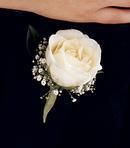 Boutonierre- single rose